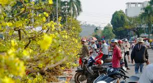 Chợ hoa sông Trà