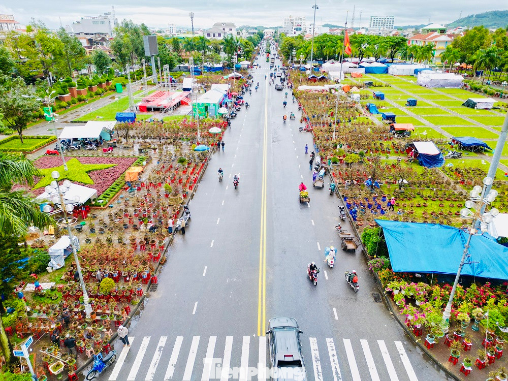 Chợ hoa Quảng Ngãi